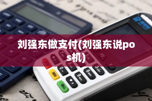 刘强东做支付(刘强东说pos机) 刘强东做支付(刘强东说pos机)