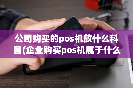 公司购买的pos机放什么科目(企业购买pos机属于什么费用)