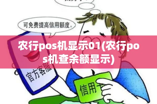 农行pos机显示01(农行pos机查余额显示)