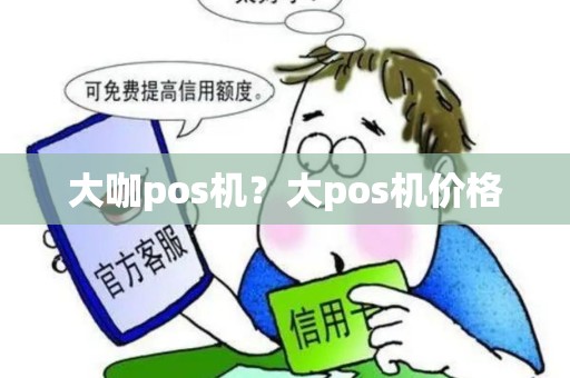 大咖pos机？大pos机价格