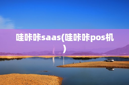 哇咔咔saas(哇咔咔pos机)