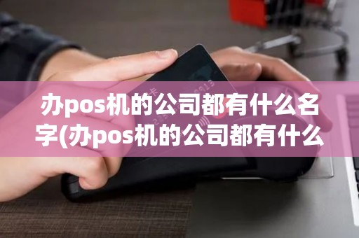 办pos机的公司都有什么名字(办pos机的公司都有什么)