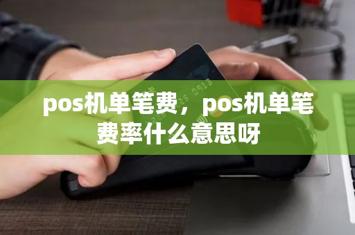 pos机单笔费，pos机单笔费率什么意思呀